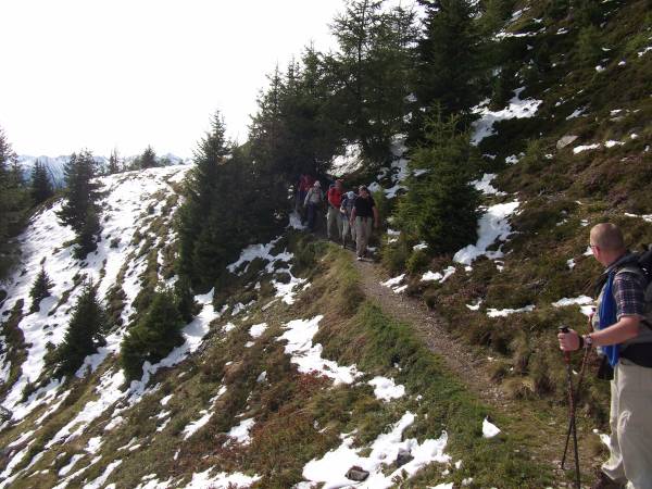 Weg vor der Falkaunsalm
